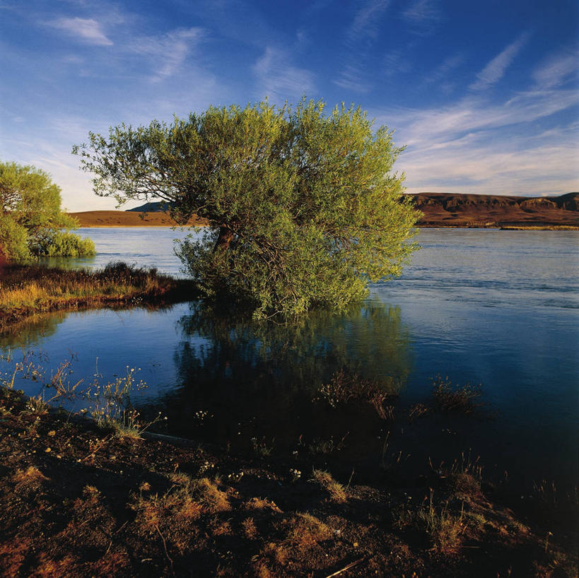 无人,横图,方图,室外,白天,湖,阿根廷,地形,树,风景,自然,地标建筑,南美,摄影,宁静,环境,国家公园,巴塔哥尼亚,彩图,阿根廷湖,郊野公园