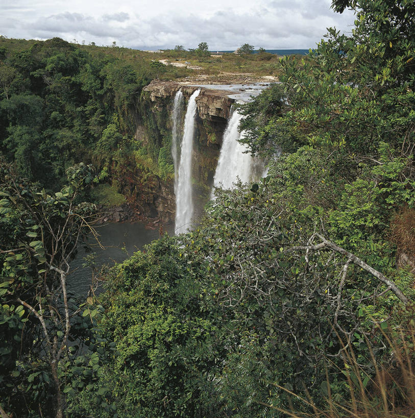 无人,竖图,方图,室外,白天,河流,瀑布,水,委内瑞拉,地平线,地形,流水,辽阔,地面,树,风景,自然,地标建筑,平原,广阔,南美,摄影,一望无际,环境,国家公园,延伸,天地相交,无边无际,一马平川,自然地理,彩图,卡奈依马国家公园,郊野公园