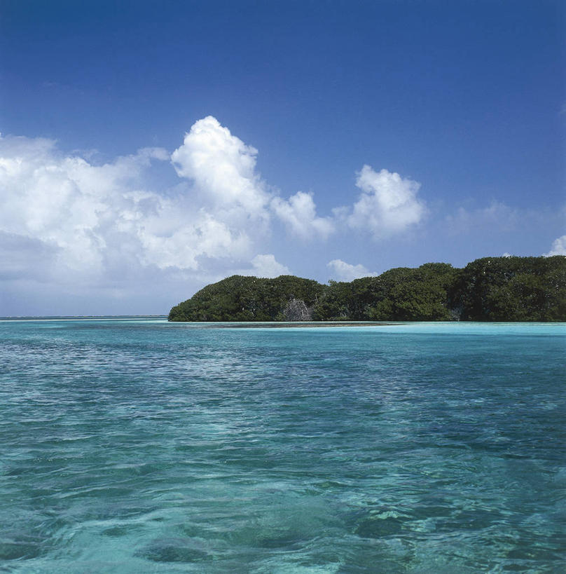 无人,竖图,方图,室外,白天,海洋,水,委内瑞拉,海岸线,云,风景,天空,自然,南美,摄影,宁静,环境,国家公园,自然地理,彩图,红树林,郊野公园