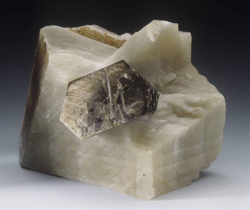 无人,横图,自然,米色,摄影,地质学,矿物质,方解石,云母片岩,岩石,彩图,影棚拍摄