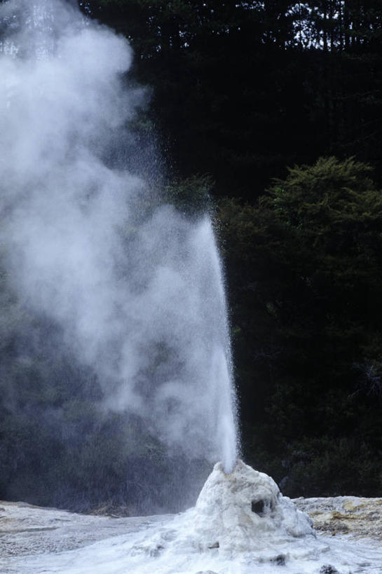 无人,竖图,室外,白天,旅游,度假,时尚,火山,美景,水,新西兰,喷,蒸汽,景观,热,娱乐,树,自然,享受,休闲,t台,景色,放松,摄影,自然风光,自然现象,澳大拉西亚,间歇泉,地质学,丰盛湾,罗托鲁阿,时装表演,时装秀,t型台,走秀,自然地理,彩图,旅行