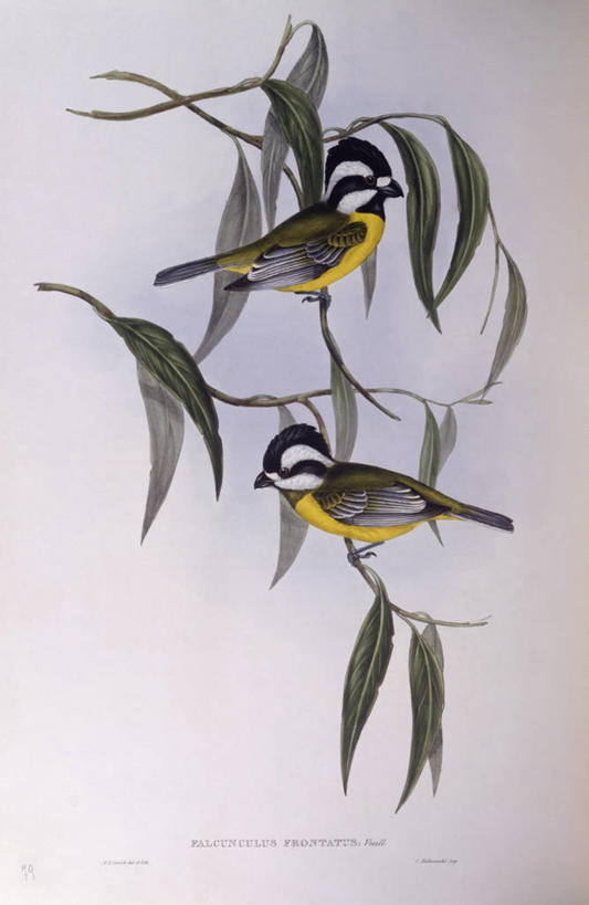 无人,竖图,室外,白天,旅游,度假,海洋,美景,水,意大利,地平线,地形,海岸线,景观,水平线,娱乐,风景,自然,享受,休闲,景色,放松,摄影,环境,岩层,南欧,自然风光,意大利文化,卡利亚里,撒丁岛,自然地理,岩石,彩图,旅行