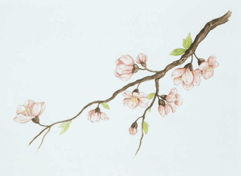 无人,横图,插画,数码,科技,植物,杏仁,阴影,网络,坚果,果树,枝,高光,几何,计算机图形,合成,图画,画,花,树,树木,粉色,绿色,自然,生长,成长,环境,电脑合成图,数码合成图,合成图,漫画,落叶树,杏树,写实,具体,具象,彩图