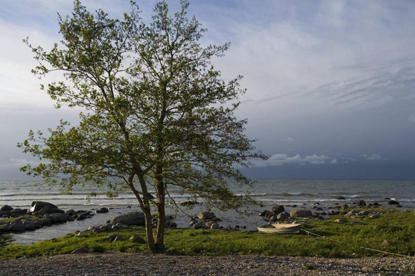 无人,横图,室外,白天,旅游,度假,海洋,美景,水,爱沙尼亚,景观,娱乐,树,风景,自然,享受,休闲,景色,放松,摄影,宁静,环境,自然风光,波罗的海,萨列马岛,自然地理,海滩,彩图,波罗的海三国