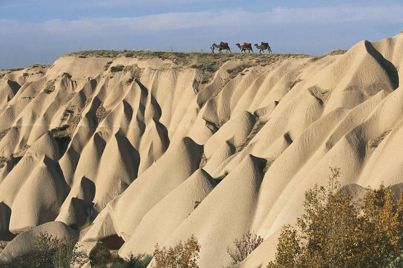 横图,室外,白天,旅游,度假,美景,沙漠,山,野生动物,欧洲,三只,地形,景观,娱乐,骆驼,风景,自然,动物,享受,休闲,景色,放松,运输,摄影,环境,山脊,气候,中东,自然风光,乌奇夏,沙漠之舟,单峰骆驼,地质学,卡帕多奇亚,自然地理,彩图,火山学