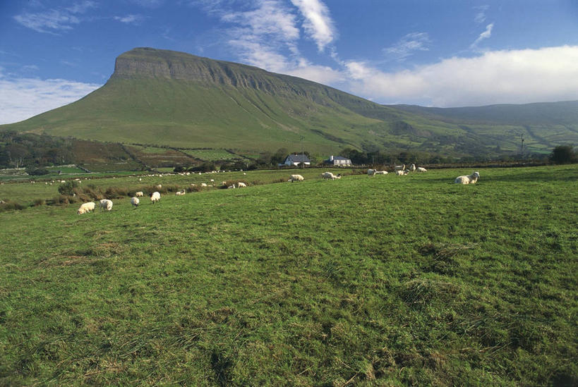 无人,横图,室外,白天,旅游,度假,农业,草地,美景,山,爱尔兰,一群,许多,景观,田地,云,羊群,很多,娱乐,草,风景,天空,自然,地标建筑,享受,休闲,景色,放松,摄影,宁静,环境,自然风光,北欧,爱尔兰共和国,康诺特省,斯莱戈郡,自然地理,绵羊,彩图,爱尔兰文化