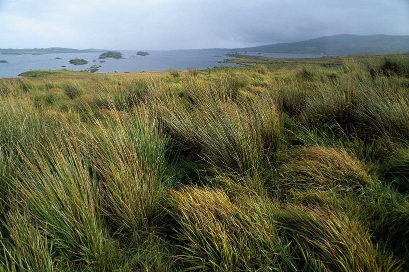 无人,横图,室外,白天,旅游,度假,湖,美景,多云,爱尔兰,地平线,景观,辽阔,地面,娱乐,草,风景,天空,自然,平原,享受,休闲,广阔,景色,放松,摄影,一望无际,环境,自然风光,北欧,延伸,爱尔兰共和国,天地相交,康诺特省,无边无际,一马平川,自然地理,彩图,旅行,高维郡
