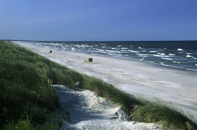 无人,横图,室外,白天,海洋,水,地平线,海岸线,水平线,沙丘,草,风景,地标建筑,摄影,宁静,波罗的海,立陶宛共和国,海滩,彩图,旅行,波罗的海三国