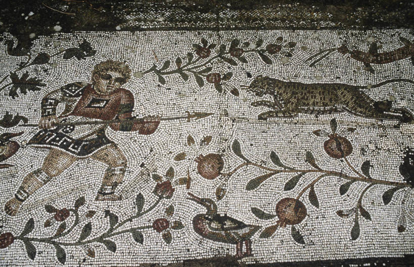 无人,横图,非洲,突尼斯,花纹,捕食,标志,符号,图案,墙,首都,历史,标识,摄影,考古学,美洲豹,古典风格,北非,阿非利加洲,性别符号,突尼斯共和国,突尼斯市,迦太基,古代文明,彩图,旅行,突尼斯省,男性符号