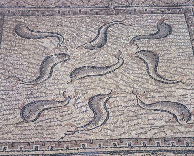 无人,横图,俯视,室外,特写,白天,海豚,非洲,摩洛哥,花纹,艺术,图案,地面,鱼类,古罗马,地标建筑,摄影,考古学,北非,阿非利加洲,鲸类,摩洛哥王国,古代文明,古代史,式样,梅克内斯,美术工艺,彩图,高角度拍摄,过去