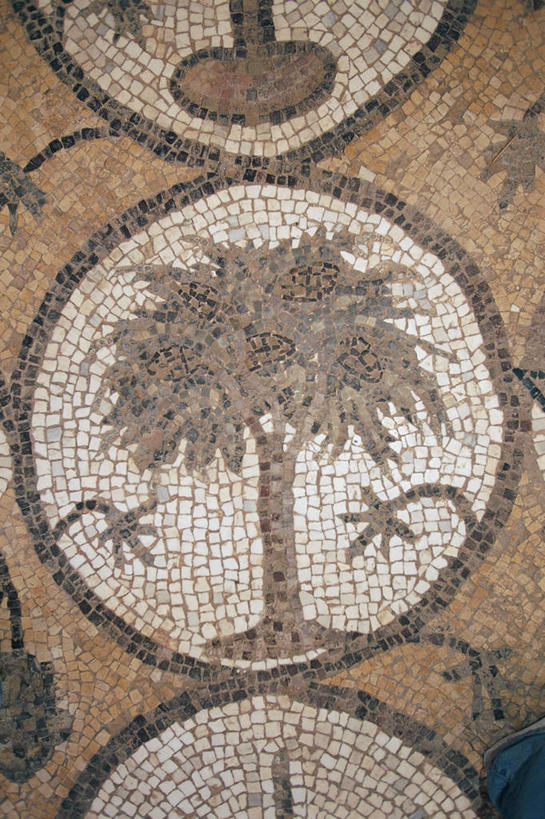 无人,教堂,竖图,白天,约旦,花纹,图案,历史,树,地标建筑,摄影,考古学,佩特拉,彩图,旅行