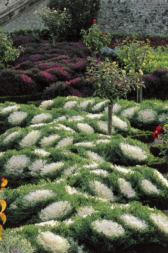 无人,竖图,俯视,室外,白天,植物,法国,地标建筑,摄影,生长,园林,法国文化,中欧,卢瓦尔河谷,维朗德里城堡,彩图,高角度拍摄,旅行