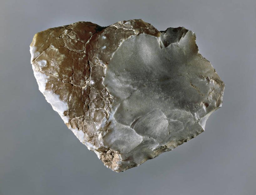 无人,博物馆,横图,特写,维也纳,灰色背景,工具,首都,历史,一个,灰色,摄影,单个,考古学,美术工艺,史前时代,自然史博物馆,彩图,影棚拍摄,沃尔道夫的维纳斯,过去