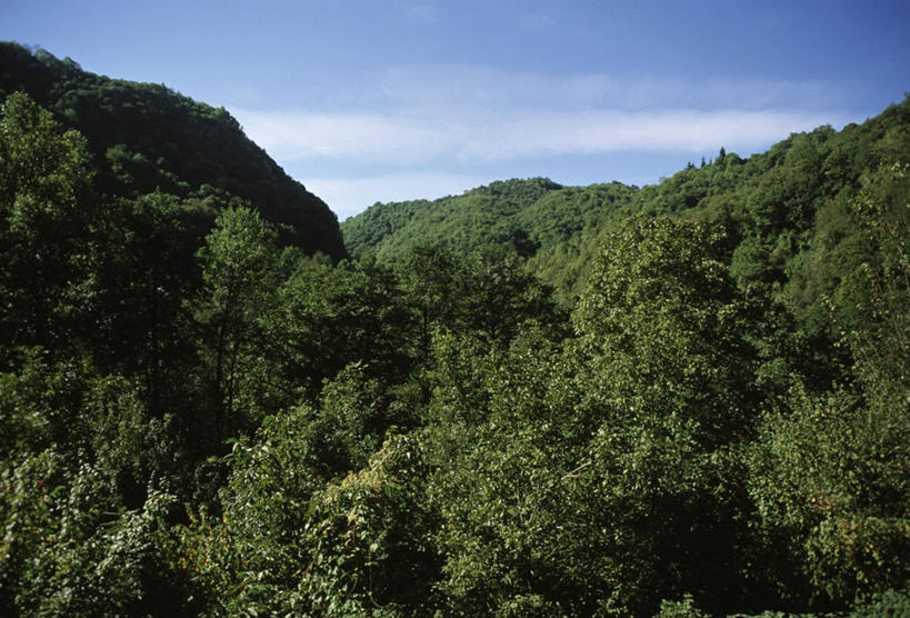 无人,横图,俯视,室外,白天,旅游,度假,美景,森林,意大利,地形,景观,娱乐,树,风景,自然,享受,休闲,景色,放松,摄影,自然风光,彩图,高角度拍摄,库内奥省