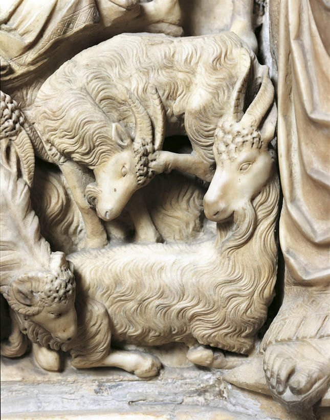 无人,竖图,室内,特写,雕塑,意大利,摄影,基督教,锡耶纳,托斯卡纳区,哥特式风格,美术工艺,山羊,彩图,大教堂,浅浮雕