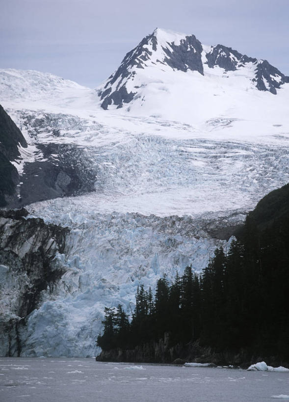 无人,公园,竖图,室外,白天,旅游,度假,美景,森林,山,山脉,水,雪,雪山,美国,地形,景观,山顶,冬天,娱乐,风景,自然,享受,休闲,景色,放松,寒冷,摄影,宁静,北美,北美洲,国家公园,自然风光,美洲,冰河,阿拉斯加,阿拉斯加州,北亚美利加洲,亚美利加洲,最后的边疆,午夜阳光之地,基奈峡湾国家公园,基奈半岛,苏厄德,自然地理,彩图,美利坚合众国