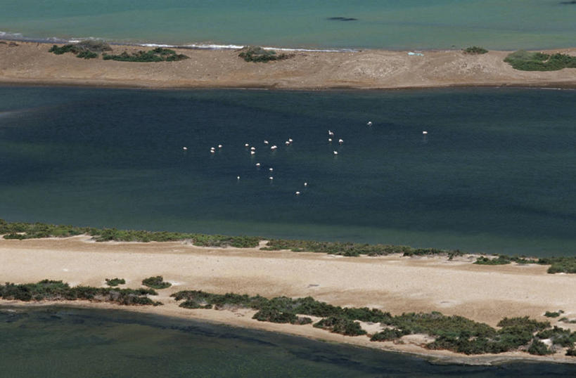 无人,横图,俯视,航拍,室外,白天,旅游,度假,海洋,美景,水,野生动物,也门,亚洲,一群,许多,火烈鸟,鸟类,沙子,地形,海岸线,景观,很多,娱乐,风景,自然,享受,休闲,景色,放松,摄影,鸟瞰,自然风光,沙巴岛,红海,潟湖,海滩,彩图,高角度拍摄