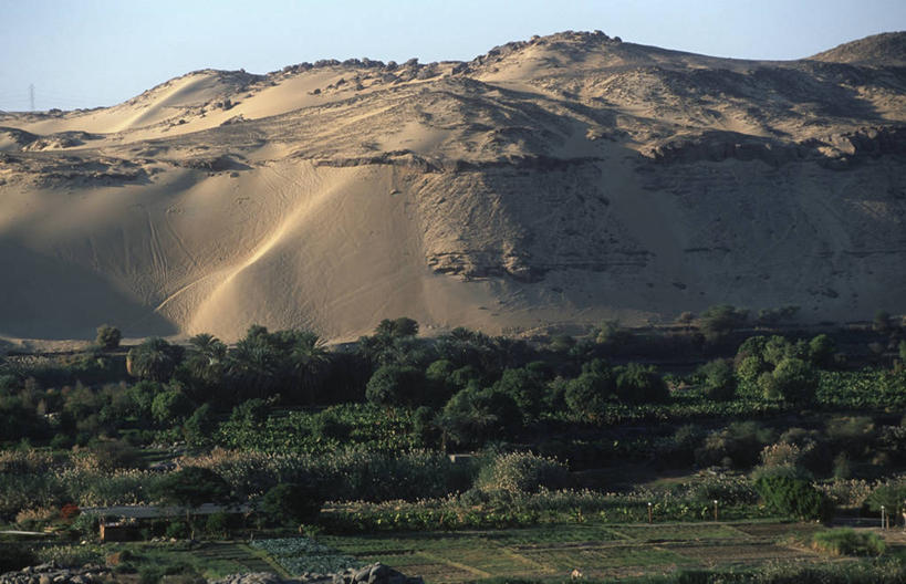 无人,横图,俯视,室外,白天,旅游,度假,美景,森林,山,尼罗河,埃及,地平线,地形,景观,田地,辽阔,地面,沙丘,娱乐,风景,自然,享受,休闲,广阔,景色,放松,摄影,宁静,一望无际,中东,自然风光,延伸,野地,天地相交,无边无际,一马平川,自然地理,彩图,高角度拍摄