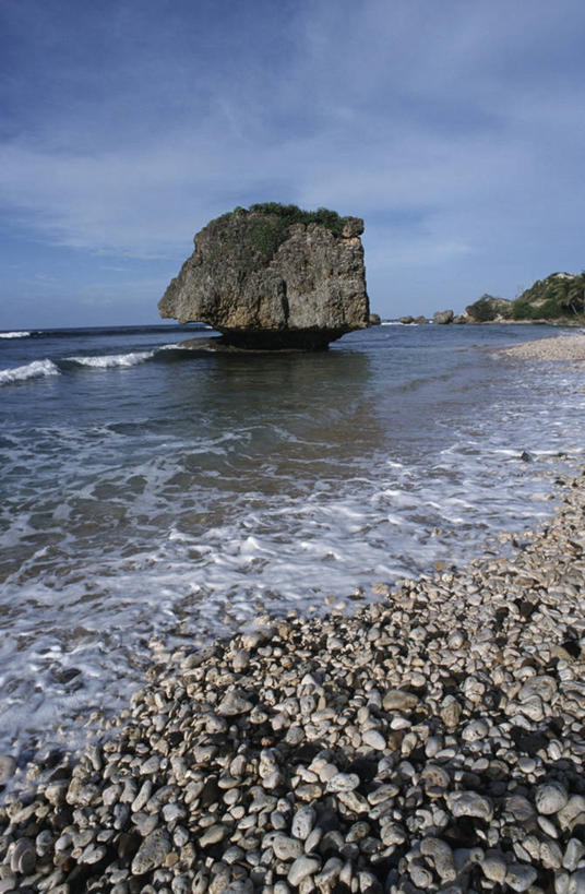 无人,竖图,室外,白天,度假,海浪,海洋,巴巴多斯,风景,鹅卵石,摄影,宁静,岩层,海滩,岩石,彩图