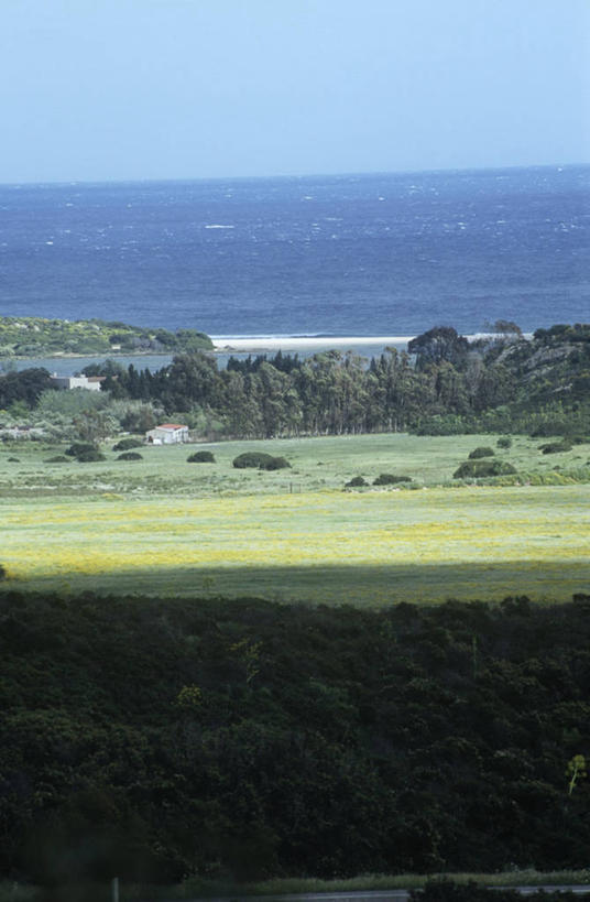 无人,竖图,俯视,室外,白天,旅游,度假,草地,海洋,美景,意大利,地形,海岸线,景观,水平线,树荫,海湾,娱乐,风景,自然,享受,休闲,景色,放松,摄影,宁静,自然风光,意大利文化,万里无云,卡利亚里,撒丁岛,自然地理,彩图,高角度拍摄