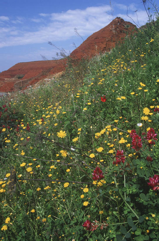 无人,竖图,室外,白天,旅游,度假,草地,美景,山,意大利,地形,景观,娱乐,草,花,风景,自然,地标建筑,享受,休闲,景色,放松,摄影,宁静,矿产,矿物,自然风光,野地,意大利文化,撒丁岛,自然地理,彩图