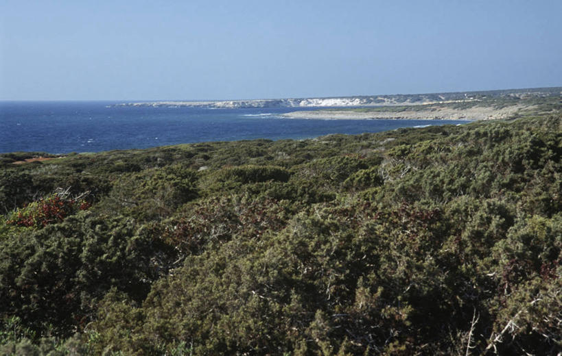 无人,横图,室外,白天,度假,海洋,塞浦路斯,地平线,地形,辽阔,地面,风景,广阔,摄影,生长,灌木,宁静,一望无际,延伸,万里无云,天地相交,无边无际,一马平川,彩图,忍耐力