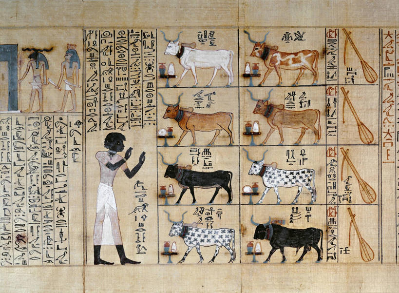 无人,横图,室内,埃及,标志,符号,墙,围墙,乐器,历史,标识,牛车,古代,摄影,中东,象形文字,性别符号,古埃及文明,古代文明,美术工艺,彩图,男性符号,死亡之书,过去