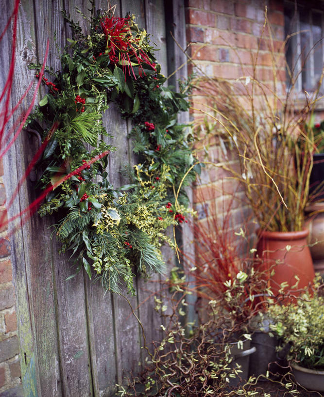 无人,竖图,室外,白天,美景,植物,门,浆果,静物,叶子,英国,圣诞节,吊挂,悬挂,节日,庆祝,装饰,花环,景观,圣诞树,雪松,挂,文化,英格兰,盒子,装饰品,冬青树,树,红色,绿色,自然,装饰物,庆典,景色,摄影,纪念,灌木,华丽,修饰,点缀,自然风光,饰物,常绿树,衬托,美观,雅致,雅观,紫杉,黄杨木,彩图,对焦