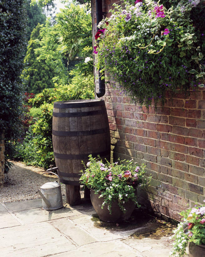 无人,竖图,室外,白天,美景,植物,花盆,英国,木制,喷壶,桶,庭院,景观,设备,砖墙,英格兰,物品,花,自然,容器,夏天,景色,摄影,排水沟,自然风光,彩图