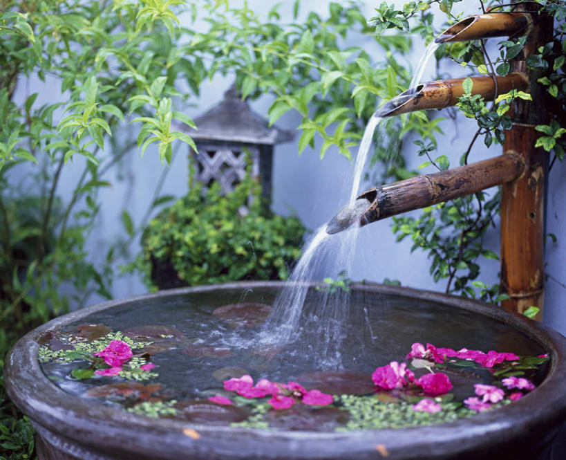 东方人,无人,横图,室外,白天,美景,水,植物,英国,庭院,池塘,景观,英格兰,花,自然,景色,摄影,盆地,自然风光,彩图,对焦