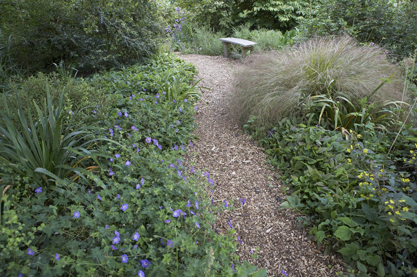 无人,横图,室外,白天,美景,植物,家具,英国,花坛,长椅,庭院,景观,小路,英格兰,座位,草,花,自然,夏天,景色,摄影,天竺葵,自然风光,观赏草,针茅,彩图,多年生植物,花园路