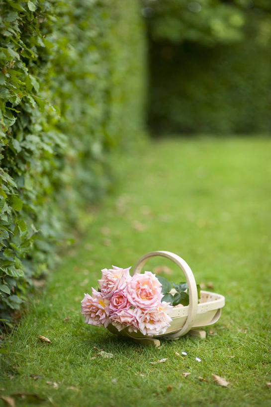 无人,竖图,室外,特写,白天,草坪,美景,植物,玫瑰,静物,英国,景观,园艺,英格兰,草,花,粉色,自然,花束,夏天,景色,摄影,自然风光,柔焦,彩图,对焦