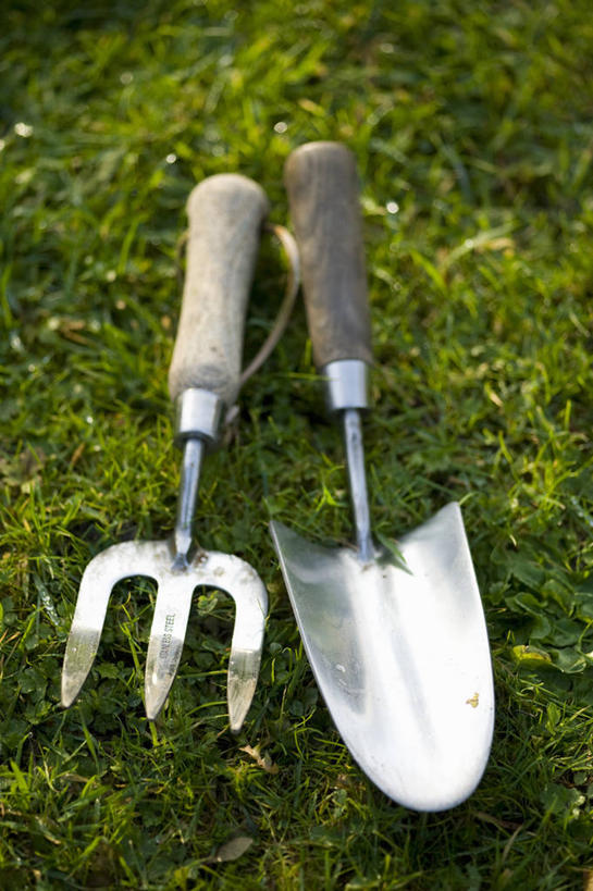 无人,竖图,室外,特写,白天,留白,草坪,美景,植物,静物,金属制品,英国,金属,工具,景观,园艺,设备,英格兰,物品,草,两个,自然,景色,摄影,泥刀,耙子,自然风光,农具,耕具,彩图,对焦