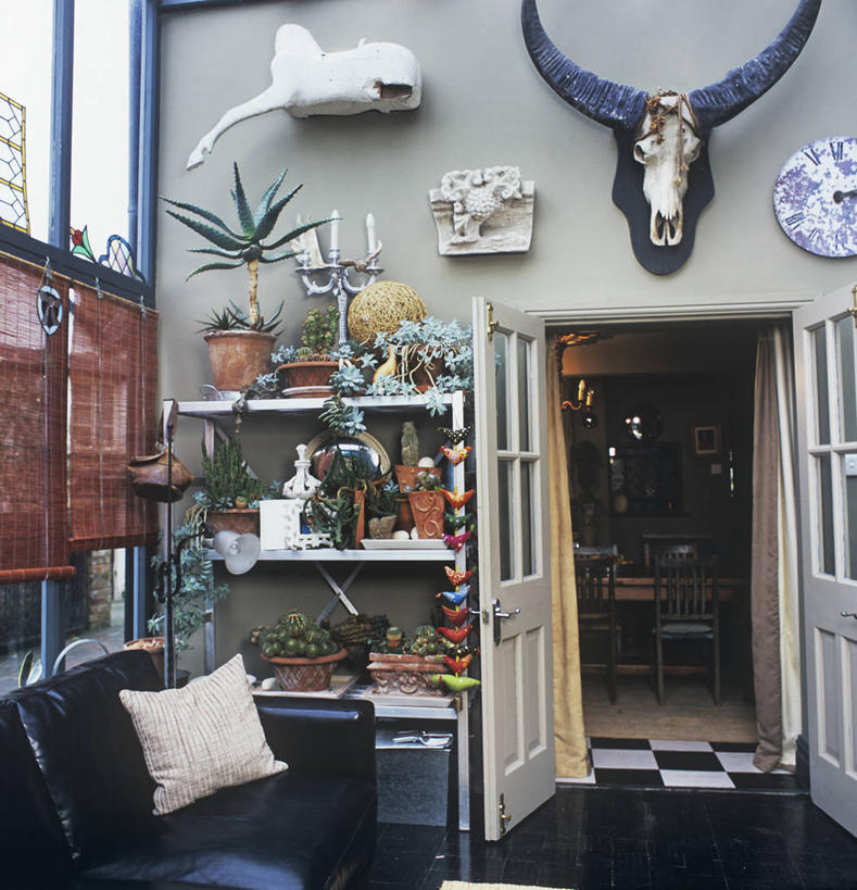 颅骨,无人,竖图,室内,白天,沙发,墙,皮革,现代,英格兰,架子,灰色,动物,容器,箱子,工具箱,摄影,多样,储藏,起居室,储存,收集,阳光房,彩图,贮存,装裱