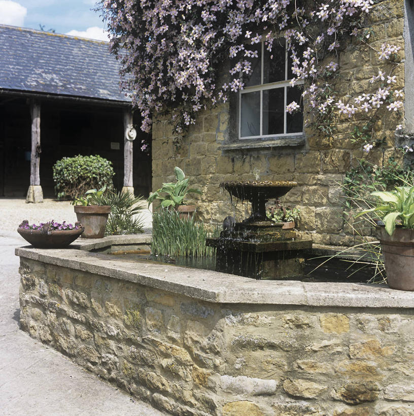 无人,攀登,竖图,方图,室外,白天,喷泉,房屋,墙,庭院,池塘,铁线莲,英格兰,摄影,生长,彩图