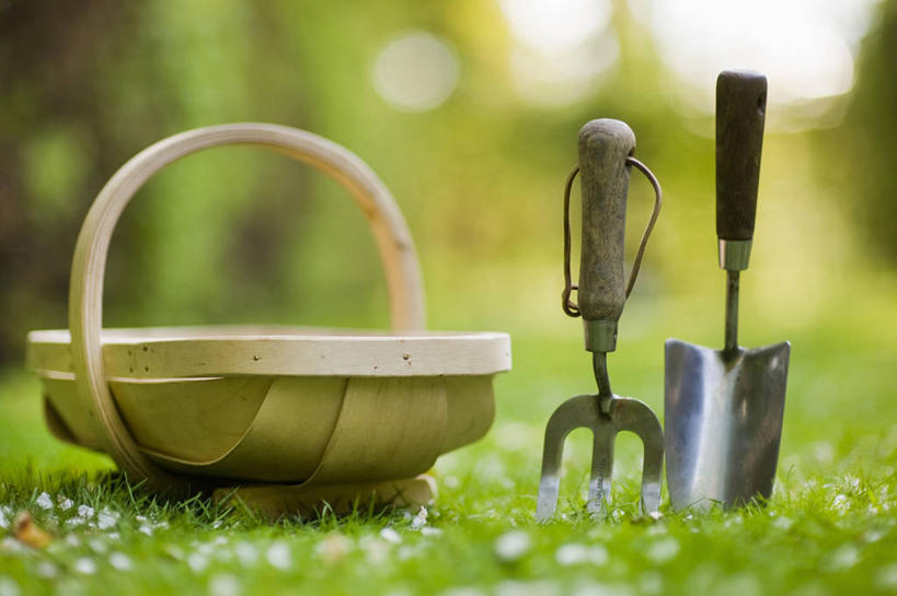 无人,横图,室外,特写,白天,草坪,美景,植物,静物,金属制品,英国,不锈钢,金属,木制,工具,景观,园艺,设备,物品,草,绿色,自然,春天,景色,摄影,泥刀,耙子,自然风光,农具,耕具,彩图,对焦