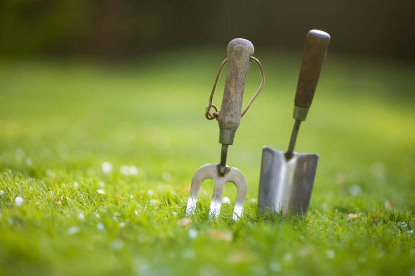 无人,横图,室外,特写,白天,草坪,美景,植物,静物,金属制品,英国,不锈钢,金属,工具,景观,园艺,设备,物品,草,两个,绿色,自然,景色,摄影,泥刀,耙子,自然风光,农具,耕具,彩图,对焦