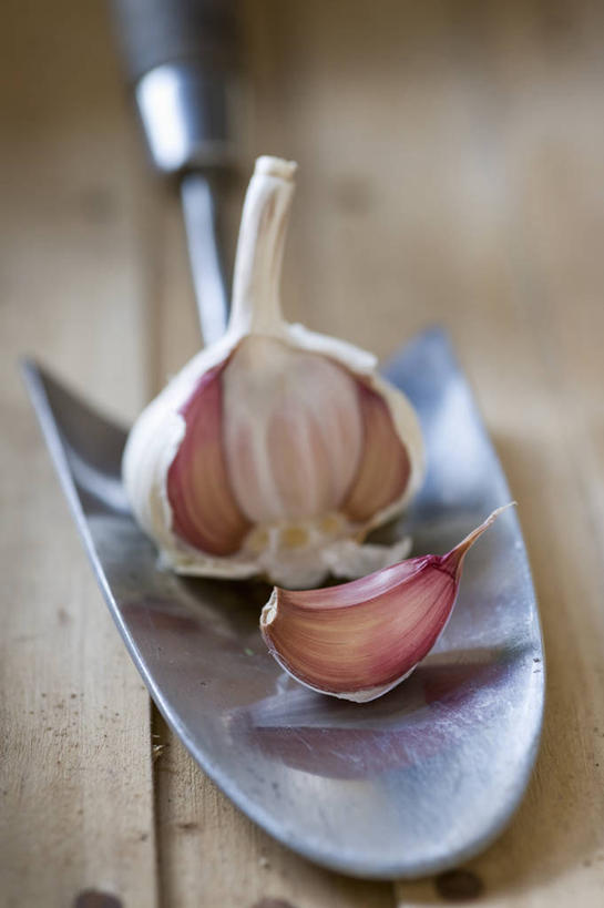 无人,竖图,室外,特写,白天,美景,蔬菜,静物,英国,种植,不锈钢,新鲜,金属,景观,园艺,食品,设备,饮食,物品,食物,自然,景色,摄影,有机食品,绿色食品,蒜瓣,泥刀,草本,自然风光,大蒜,彩图,对焦