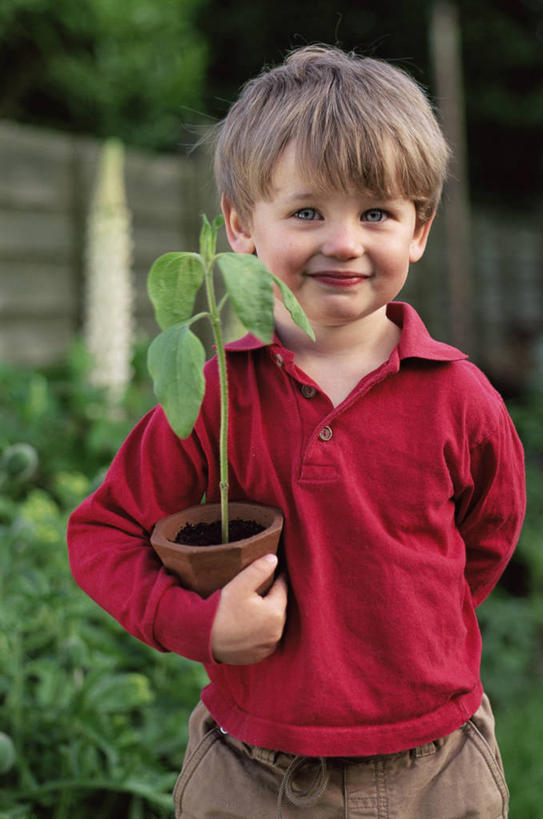 儿童,手,一个人,竖图,室外,特写,白天,快乐,幸福,纯洁,植物,向日葵,花盆,园艺,玛格丽特,图像,休闲装,雏菊,小孩,衣服,春天,概念,菊花,生物,活力,季节,可爱,童年,童趣,人体,摄影,生长,希望,坚强,焦点,和平,童真,烂漫,无邪,秧苗,离别,延命菊,幸福花,春菊,马兰头花,暗恋,纯情,单恋,构图,天真,孩子,彩图,愉快,时空,延时摄影