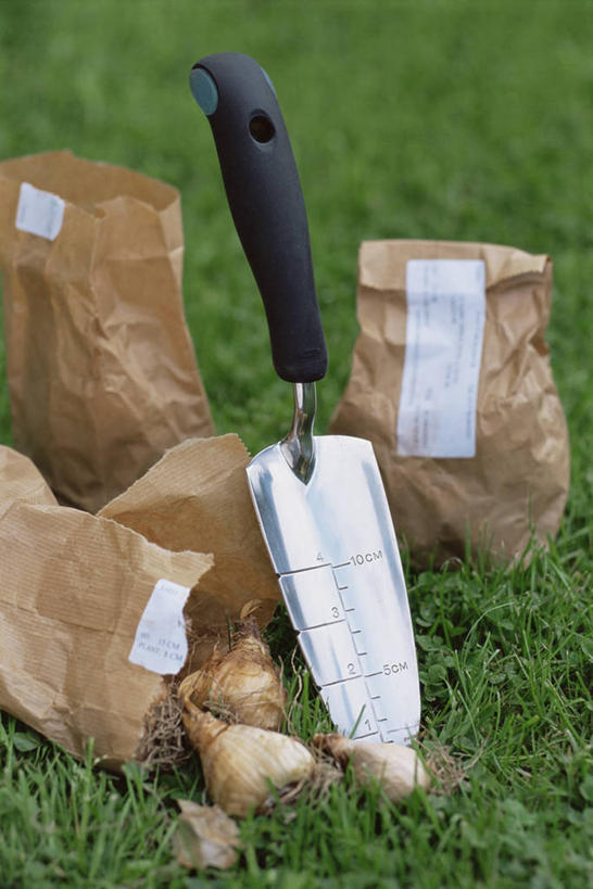 无人,竖图,室外,特写,白天,美景,植物,蔬菜,静物,金属制品,新鲜,金属,铲子,景观,园艺,食品,图像,设备,物品,食物,自然,概念,生物,景色,摄影,有机食品,绿色食品,自然风光,主题,手工具,构图,休闲活动,彩图,手铲,时空