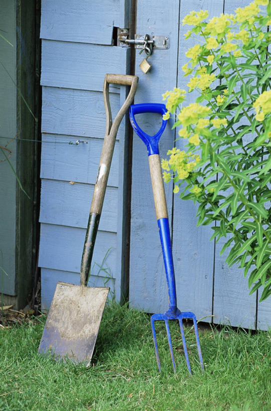 无人,竖图,农业,静物,金属制品,金属,工具,园艺,图像,设备,物品,两个,夏天,季节,摄影,耙子,主题,农具,耕具,构图,休闲活动,彩图