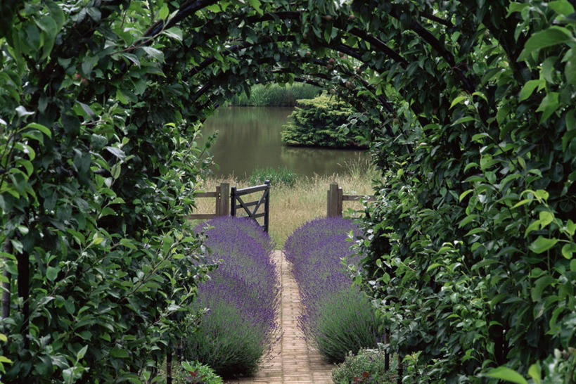 无人,横图,室外,白天,美景,植物,大门,景观,拱门,小路,图像,设备,物品,自然,概念,生物,景色,摄影,自然风光,主题,构图,彩图,时空,花园路