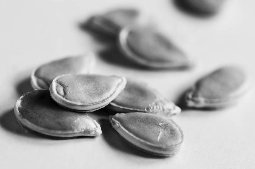 无人,横图,黑白,室外,特写,白天,美景,蔬菜,景观,食品,种子,图像,饮食,灰色,自然,概念,景色,摄影,焦点,自然风光,主题,南瓜子,健康食物,构图,时空