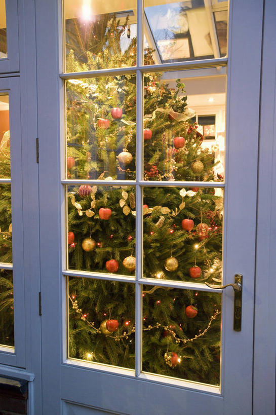 无人,竖图,室外,美景,植物,圣诞节,装饰,景观,冬天,圣诞树,图像,自然,概念,生物,景色,季节,摄影,自然风光,主题,构图,彩图,时空,法定假日