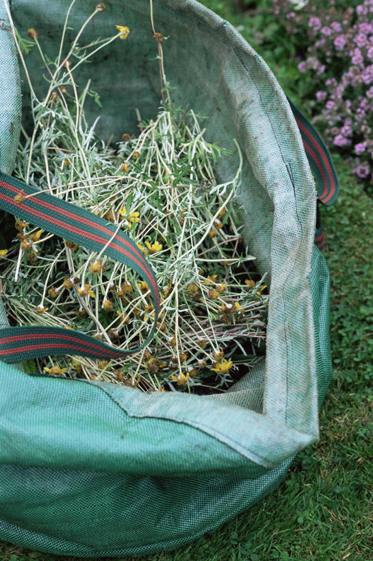 无人,家庭,竖图,室外,特写,白天,包,园艺,枝,购物袋,图像,自然,概念,温暖,温馨,一家人,摄影,和睦,关爱,主题,循环利用,环境保护,构图,嫩枝,彩图,时空,融洽,家务劳动