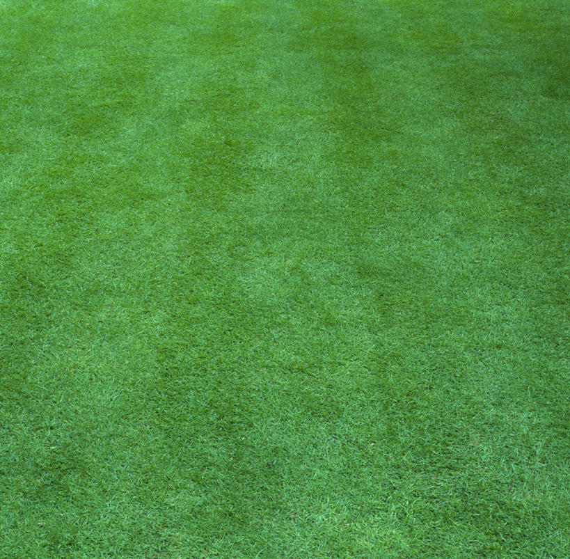 无人,横图,室外,白天,留白,背景,草坪,美景,条纹,景观,园艺,草,自然,景色,摄影,清新,自然风光,式样,完美,彩图,全画面,全框架,全帧,全画幅