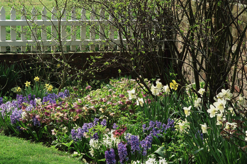 无人,横图,室外,白天,美景,植物,花坛,景观,花,自然,景色,摄影,自然风光,彩图