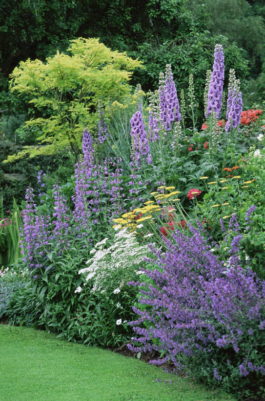 无人,竖图,室外,白天,美景,植物,花坛,庭院,景观,花,自然,景色,摄影,自然风光,彩图,英国花园