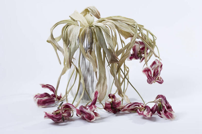 无人,横图,室外,特写,白天,白色背景,美景,植物,破碎,景观,破坏,破损,白色,自然,景色,摄影,粉碎,损坏,提示,剥落,自然风光,毁坏,摧毁,彩图