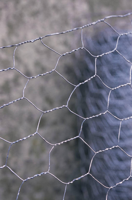 无人,竖图,室外,特写,白天,美景,植物,金属制品,金属,材料,网,栅栏,景观,篱笆,园艺,铁丝网,设备,物品,灰色,自然,景色,摄影,保护,环境,金属丝,自然风光,彩图,全画面,全框架,全帧,全画幅